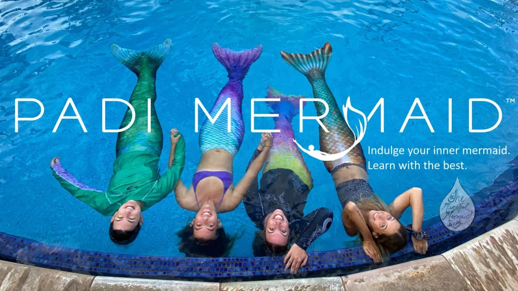 Mermaid Mermaid