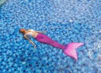 Mermaid Courses Mermaid Courses