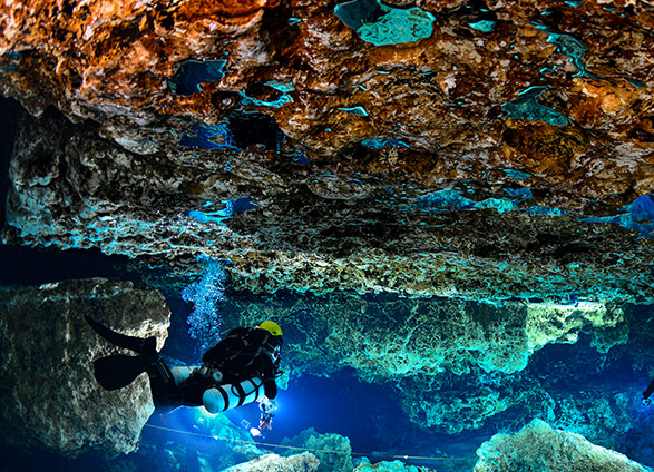 Florida Springs Trek