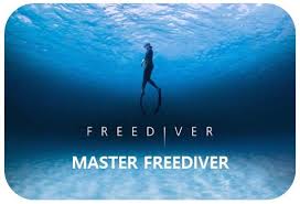 Master Freediver Master Freediver