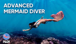Advanced Mermaid Advanced Mermaid