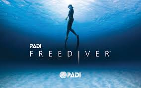 Freediver Freediver