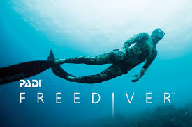 Basic Freediver Basic Freediver