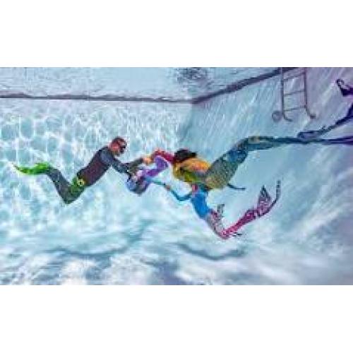 Basic Mermaid Instructor