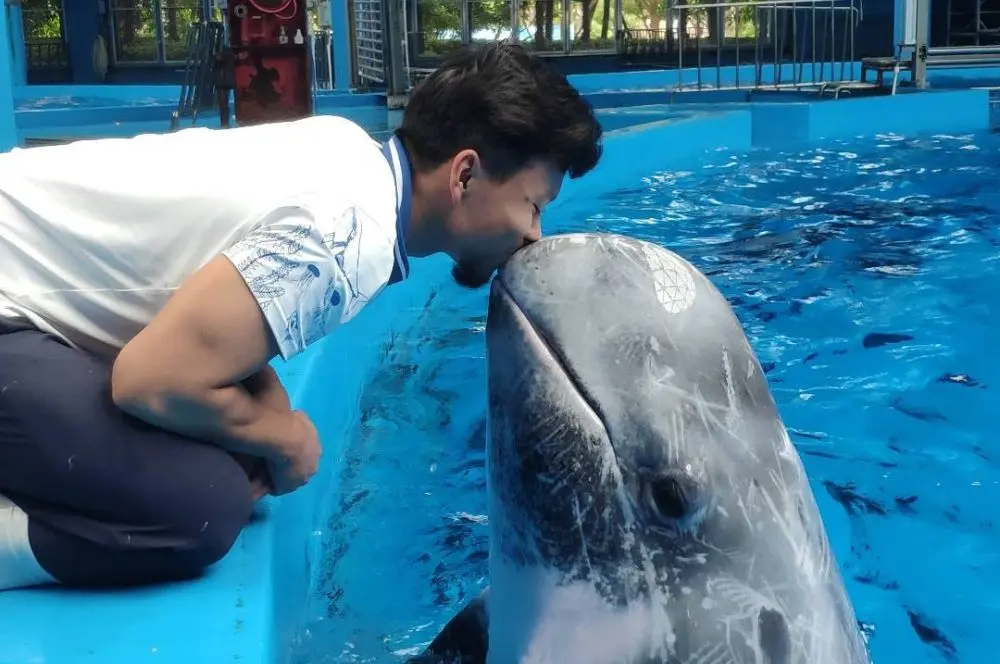 Henry Zhang – PADI Freediving Instructor Sydney