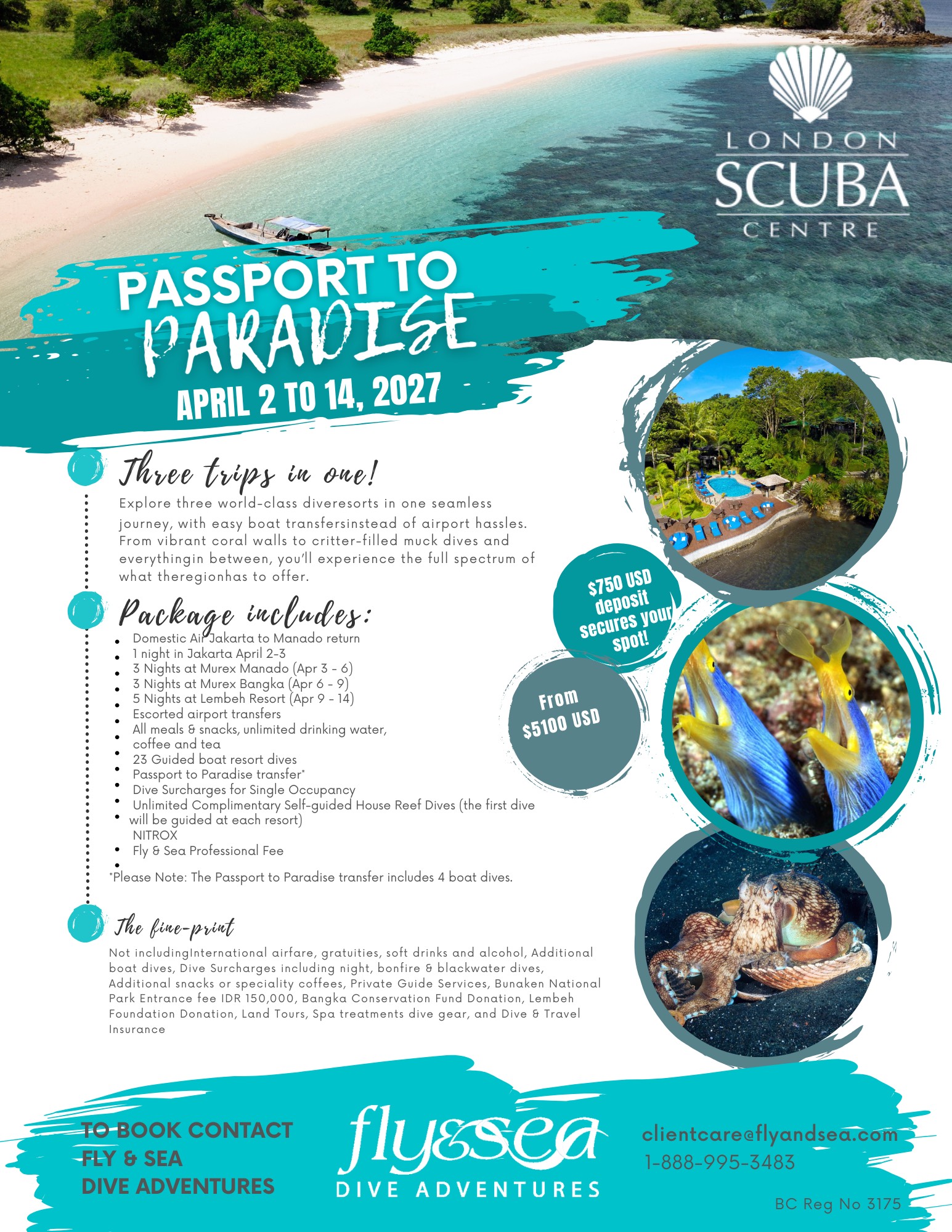 Indonesia 2027 - A Trip of a Lifetime!