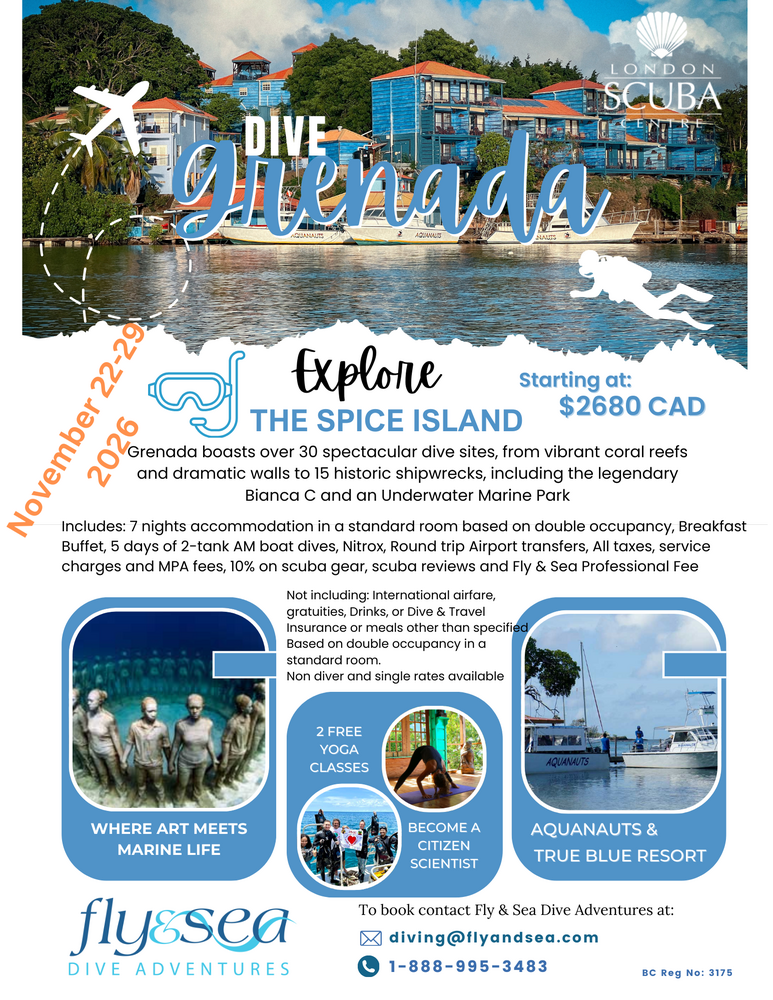 Grenada - Dive the Spice Island