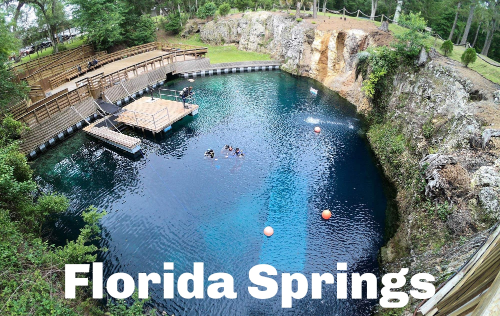 PADI Open Water Diver (Winter & Spring)