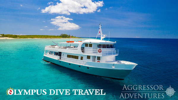 CAYMAN AGGRESSOR 2026 CAYMAN AGGRESSOR 2026