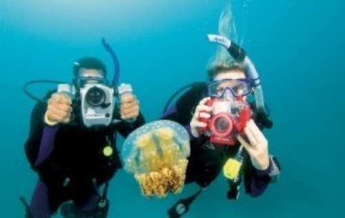ADVANCED OPEN WATER DIVER