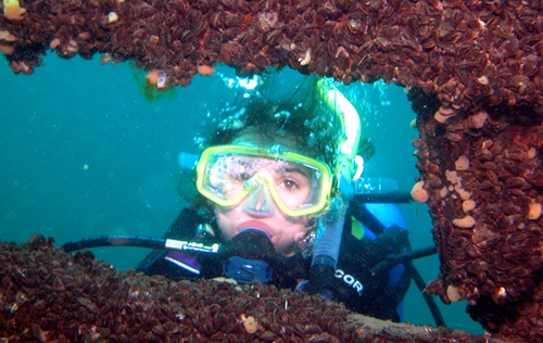 PADI OPEN WATER DIVER CERTIFICATION PADI OPEN WATER DIVER CERTIFICATION