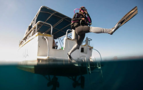 BOAT DIVER BOAT DIVER