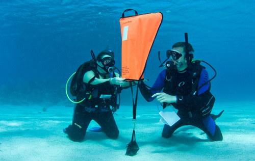 SEARCH AND RECOVERY DIVER SEARCH AND RECOVERY DIVER