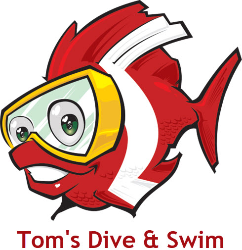 Professional Development - TDS Instructor