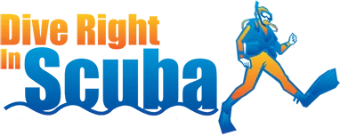 Dive Right In Scuba Plainfield