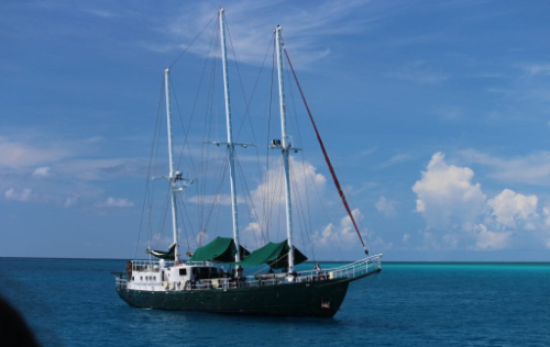 The Juliet Liveaboard, Bimini