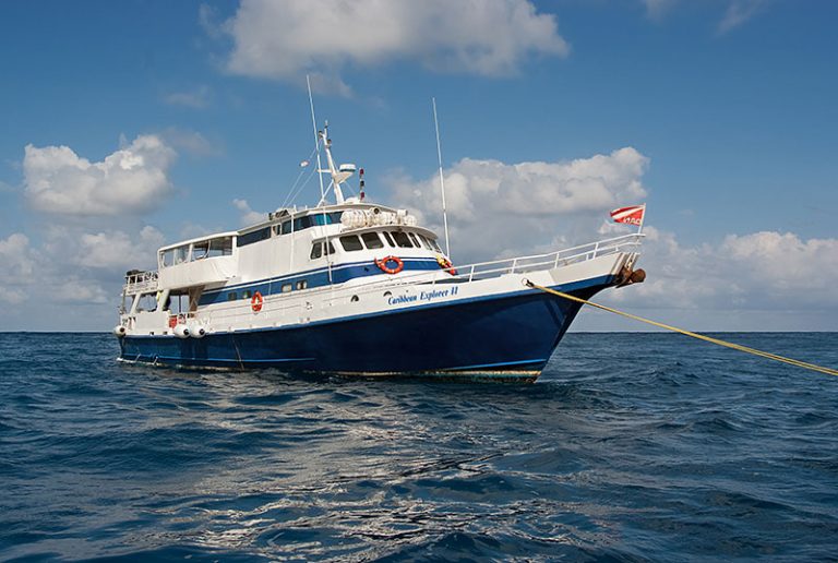 Caribbean Explorer II Liveaboard- Saba, St. Kitts, St. Marteen