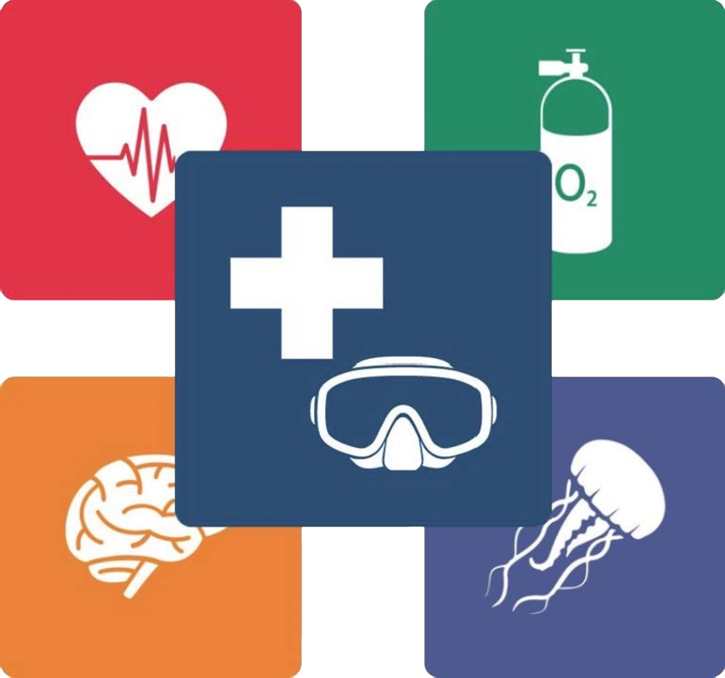 Dive First Aid (DFA) by DAN