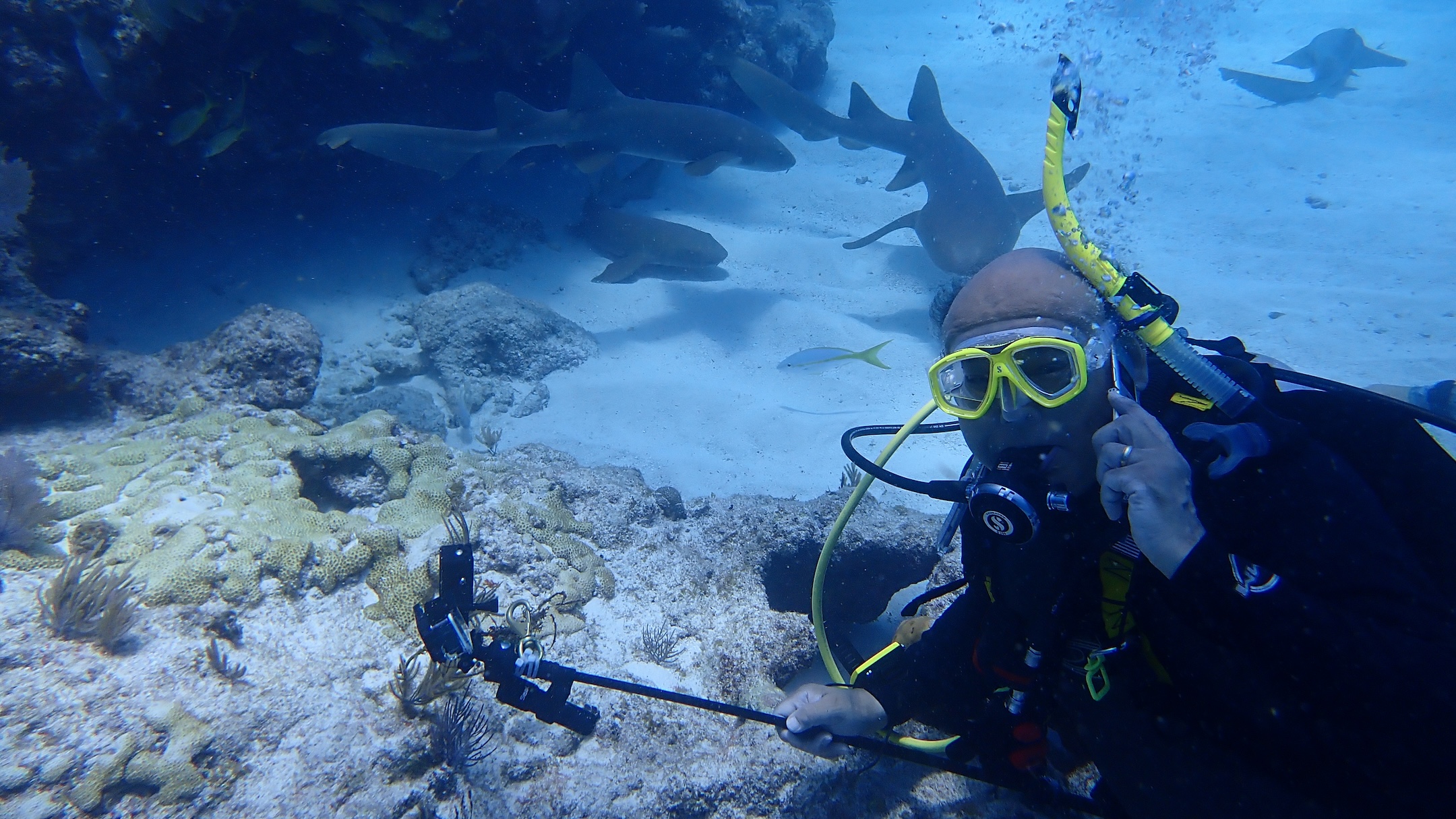 Roberto Garcia Roberto Garcia