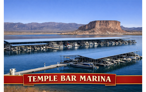 Temple Bar Marina Clean Up