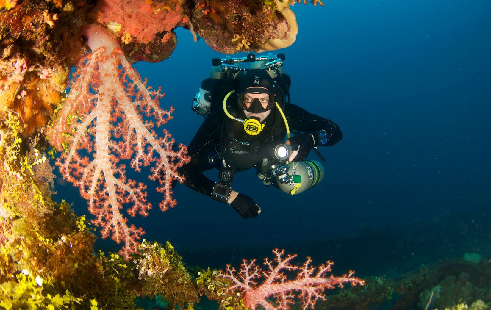 Independent Diver