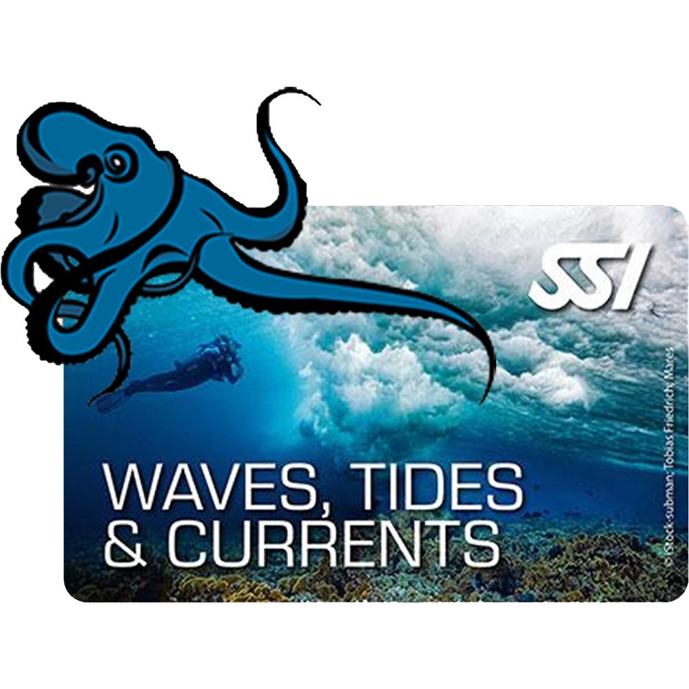 WAVES, TIDES & CURRENTS