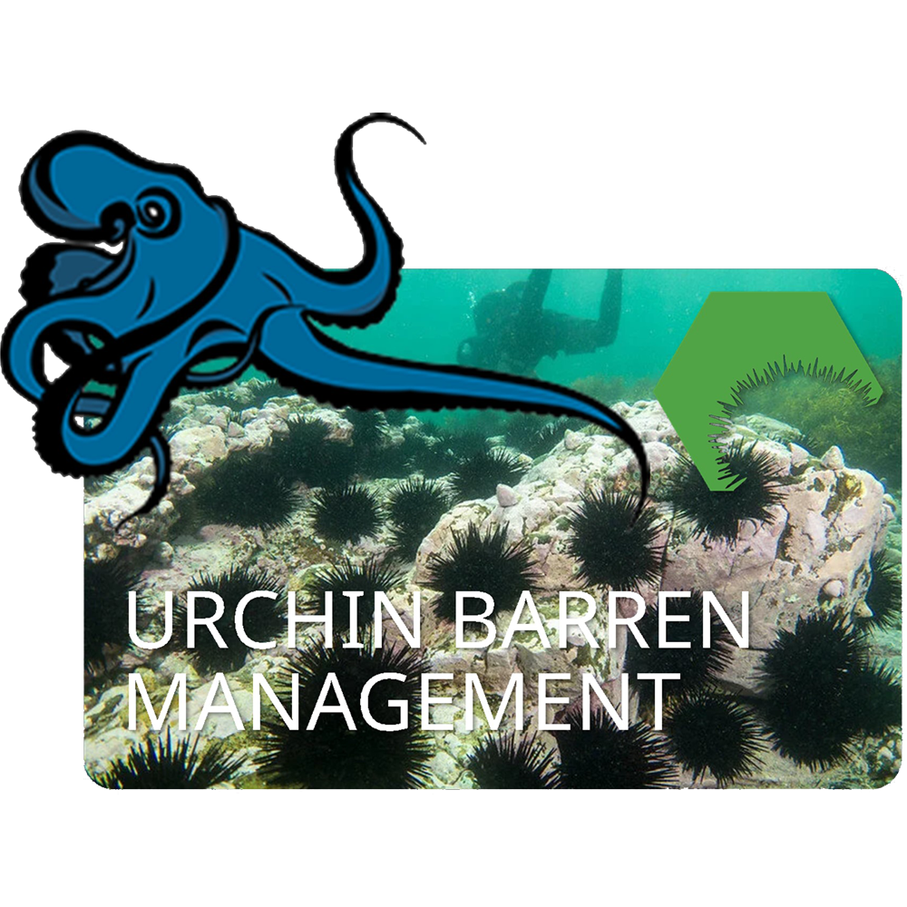 Urchin Barren Management