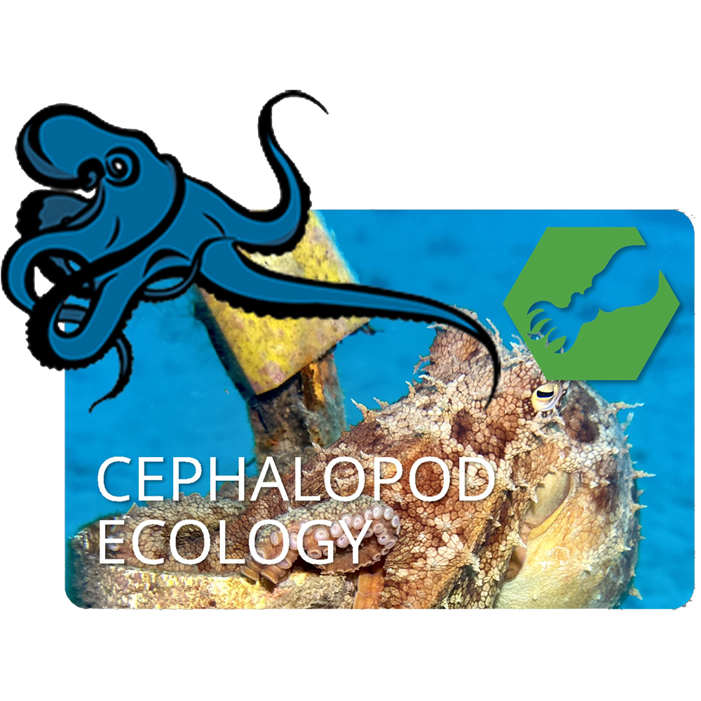CEPHALAPOD ECOLOGY