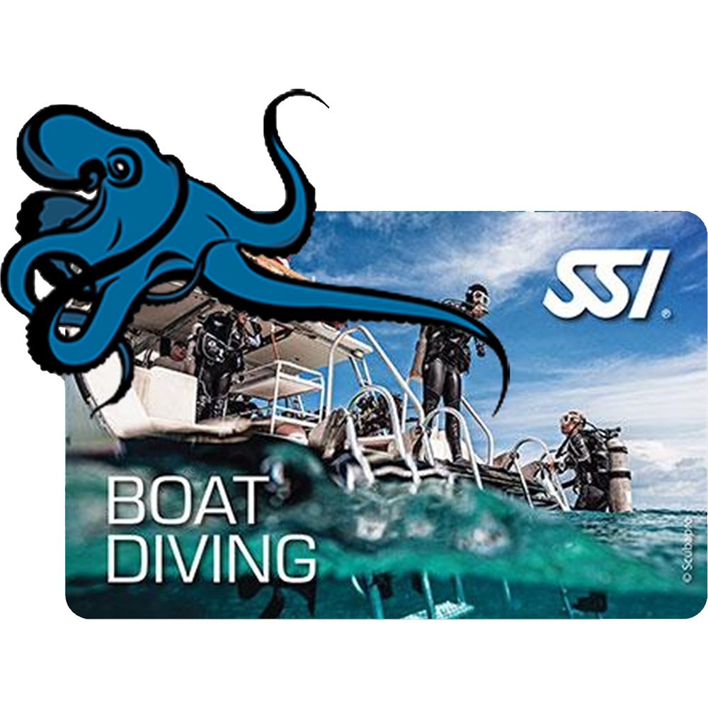 BOAT DIVING