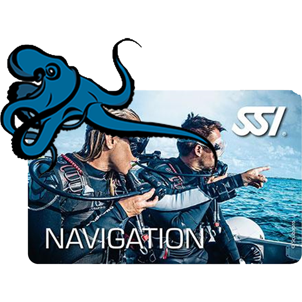 NAVIGATION