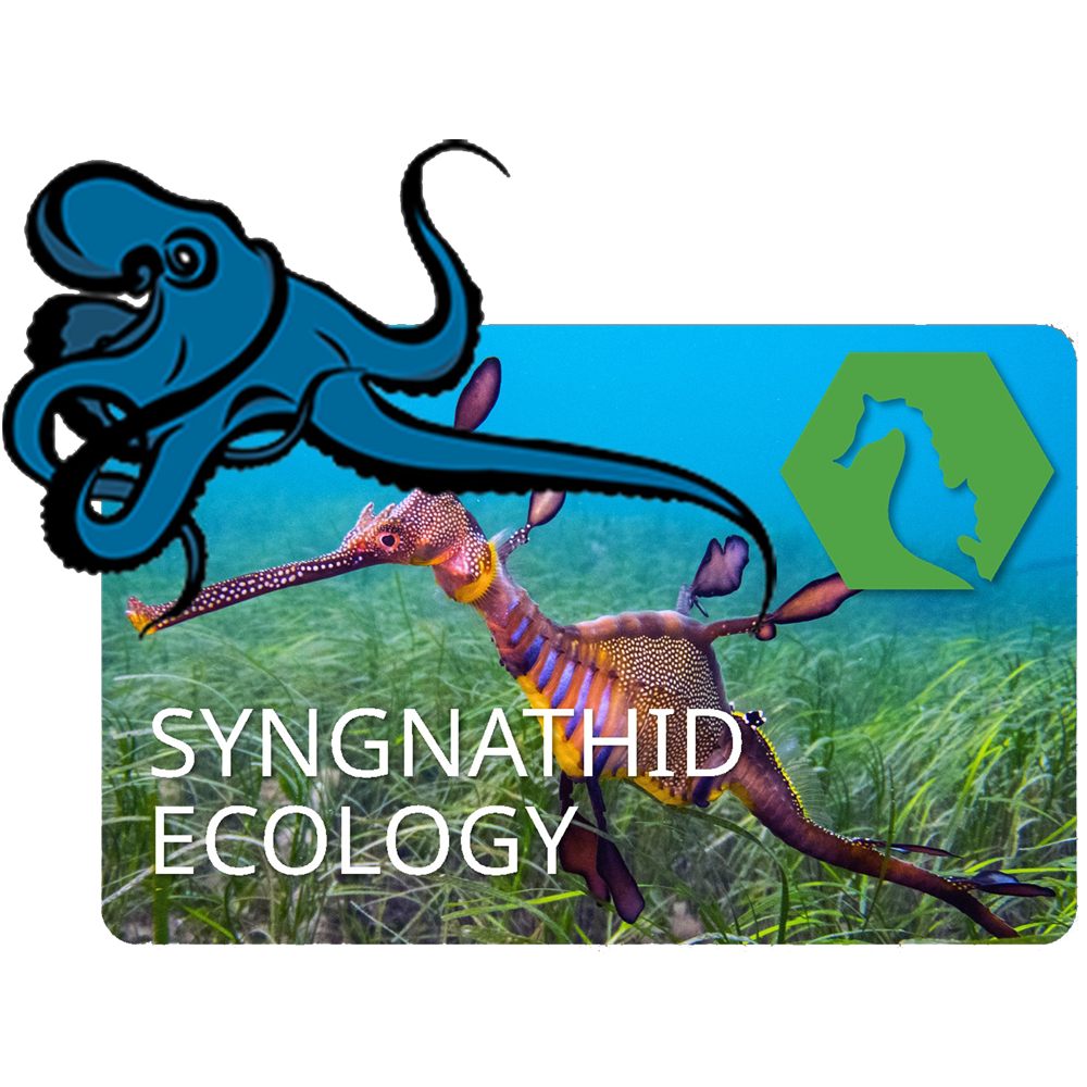 SYNGNATHID ECOLOGY