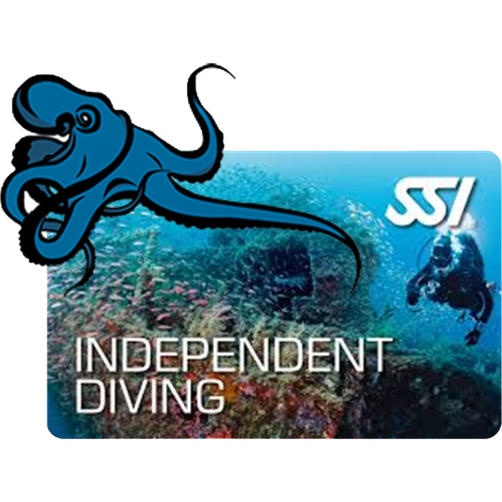 INDEPENDENT DIVING