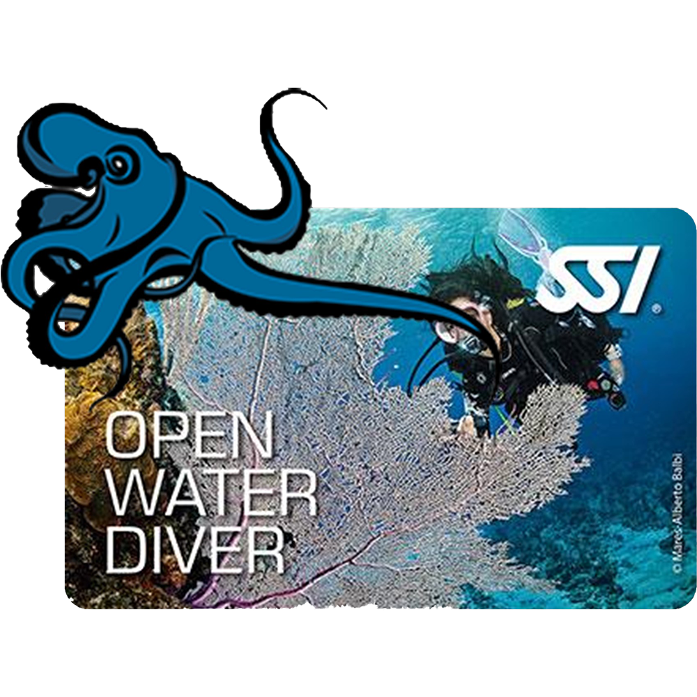 OPEN WATER DIVER