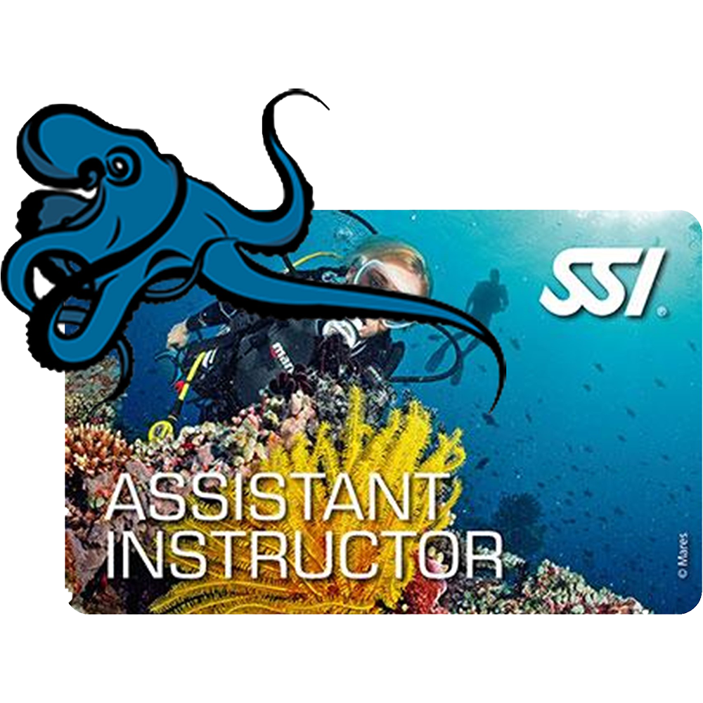 ASSISTANT INSTRUCTOR