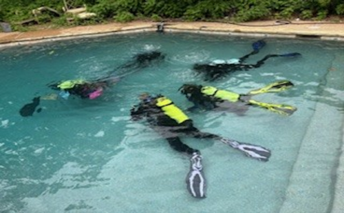 Inactive Diver Refresh