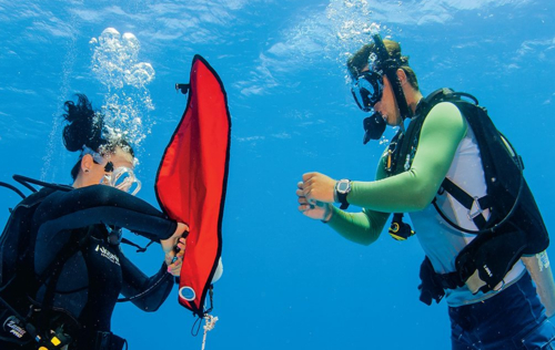 Search and Recovery Diver