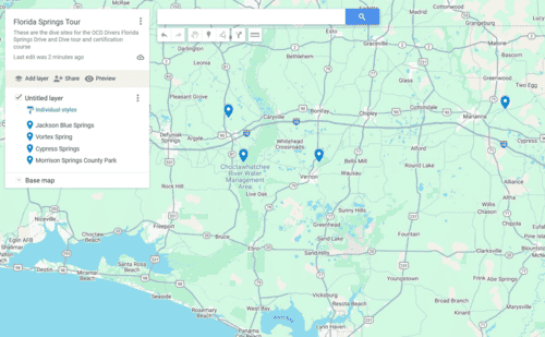 Florida Sunshine State Diver