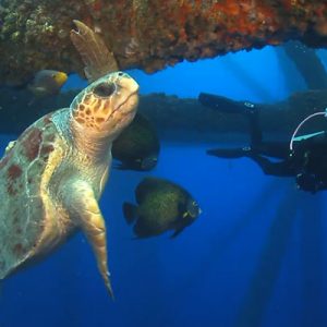 Sharon Montoro Sharon Montoro