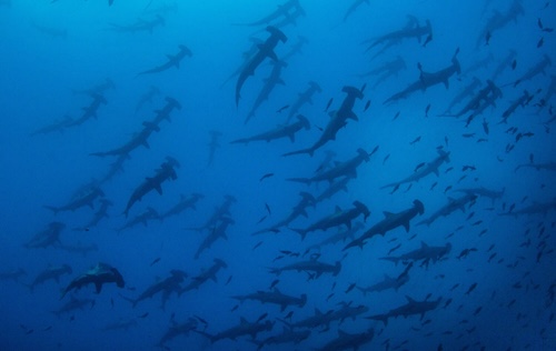 Galapagos Islands - 2029 (03-10 Sept)