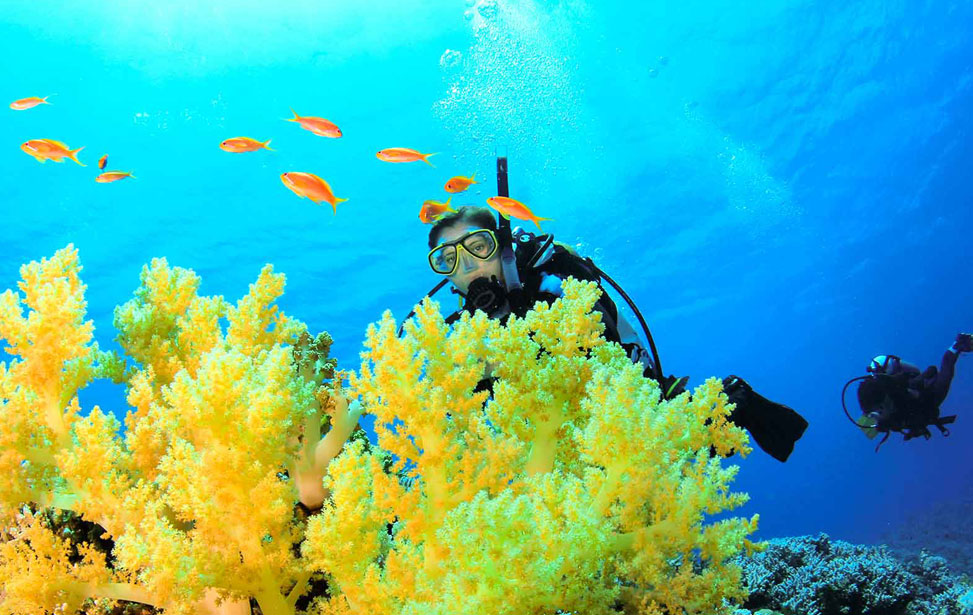 Master Scuba Diver Trainer