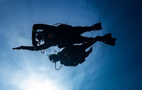 Underwater Navigator Underwater Navigator