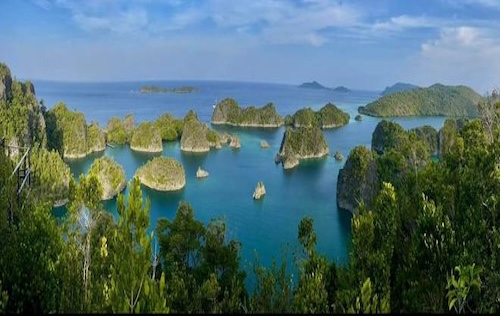Raja Ampat - 2027 (01 - 11 Mar)