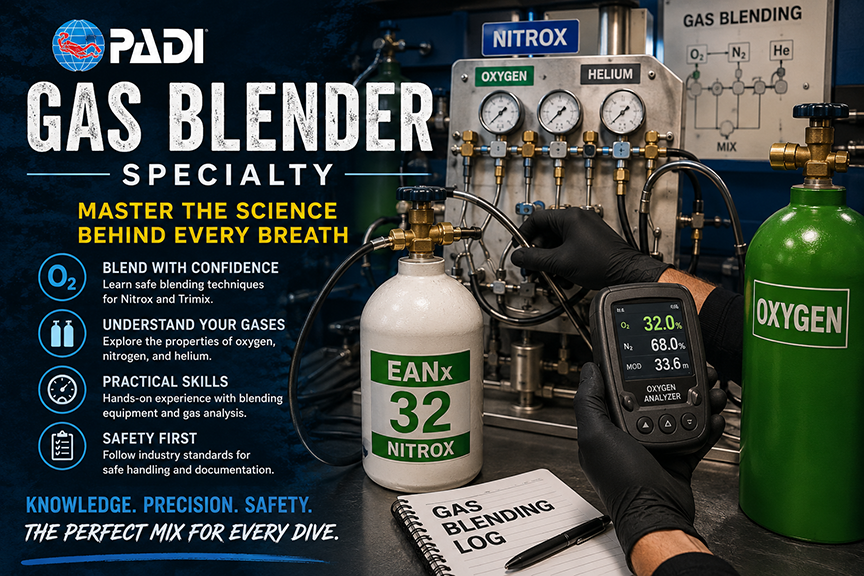 Gas Blender Specialty