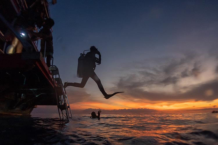 Night Diver Specialty