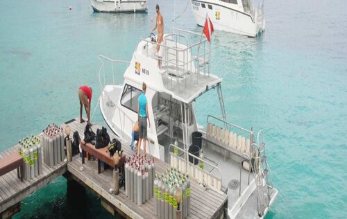 Boat Diver