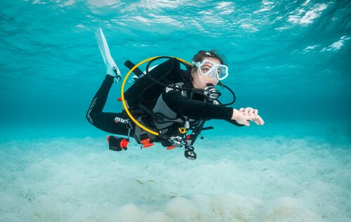 Advanced Buoyancy Diver