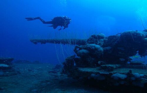 Deep Diver Specialty