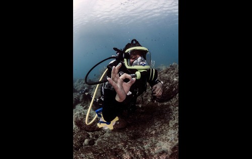 Full Face Mask Diver