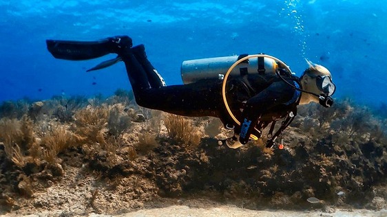 Drift Diver