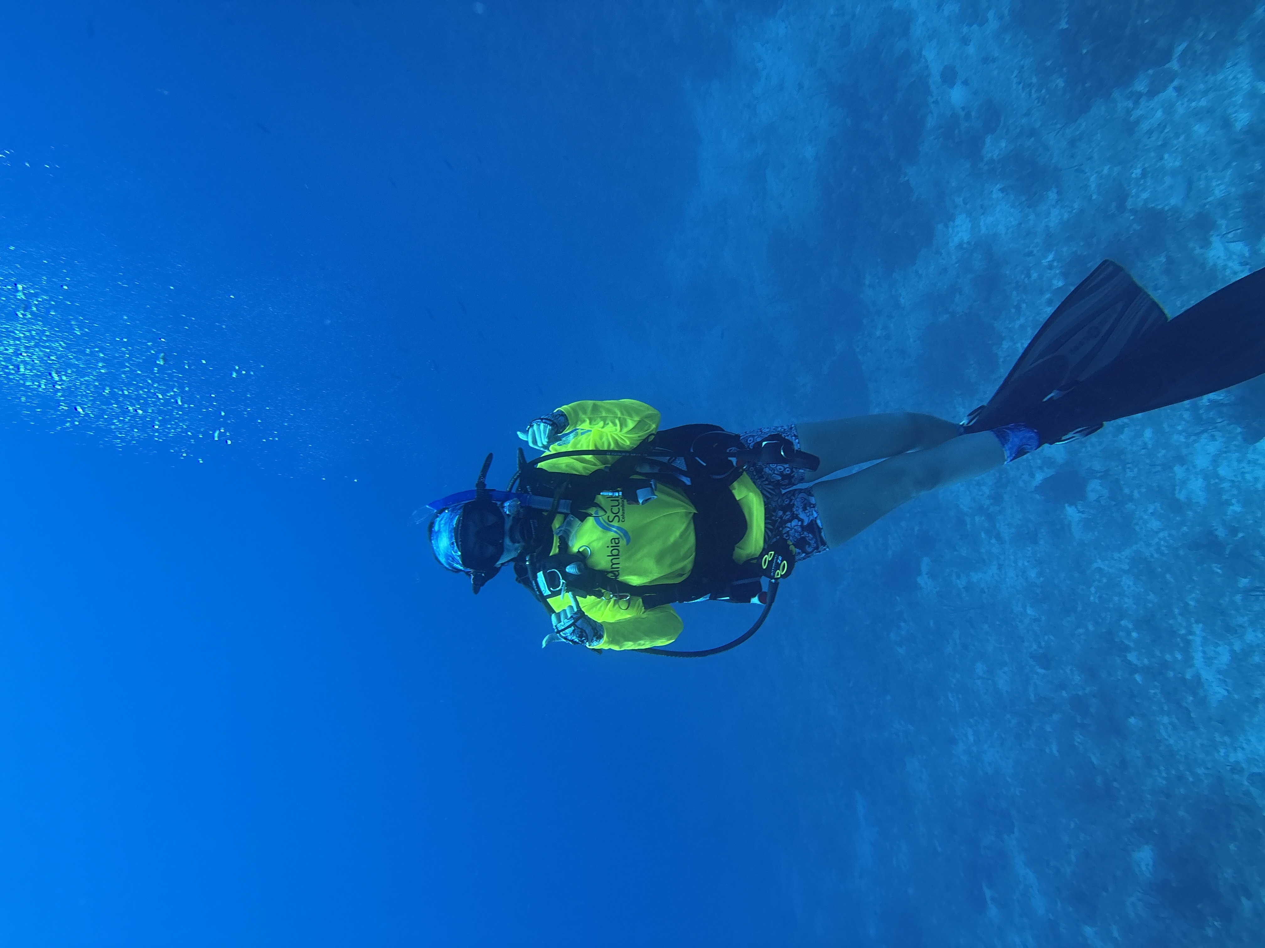 Taylor Moses Taylor Moses